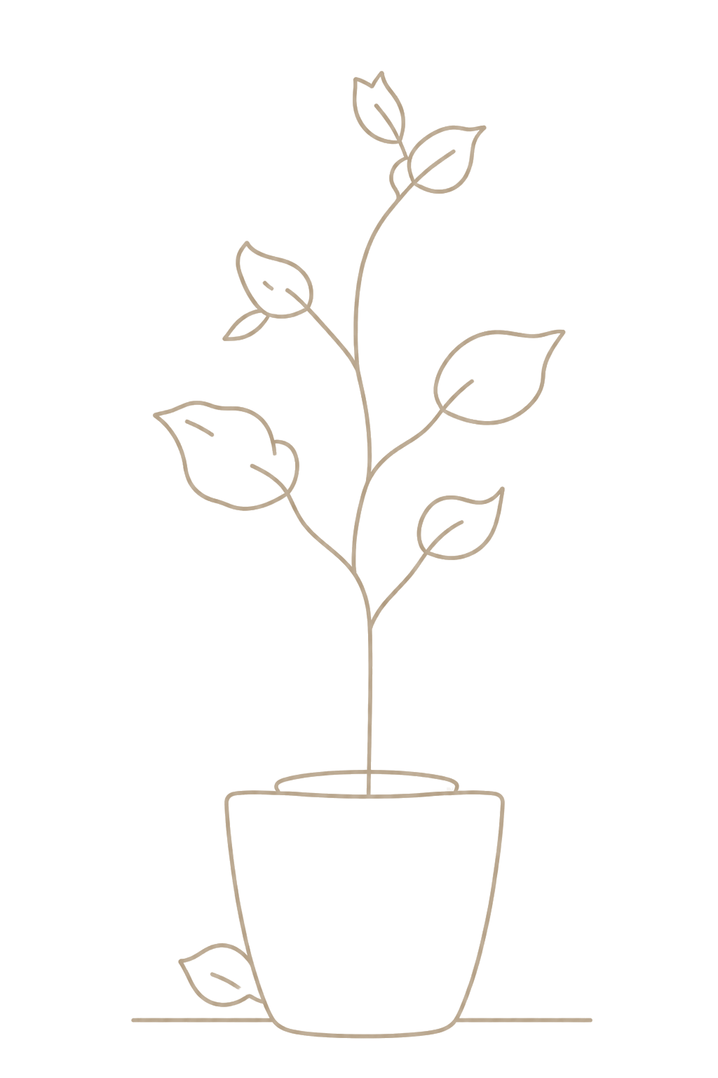 ホームページを営業資産として育てることを表す鉢植えの線画